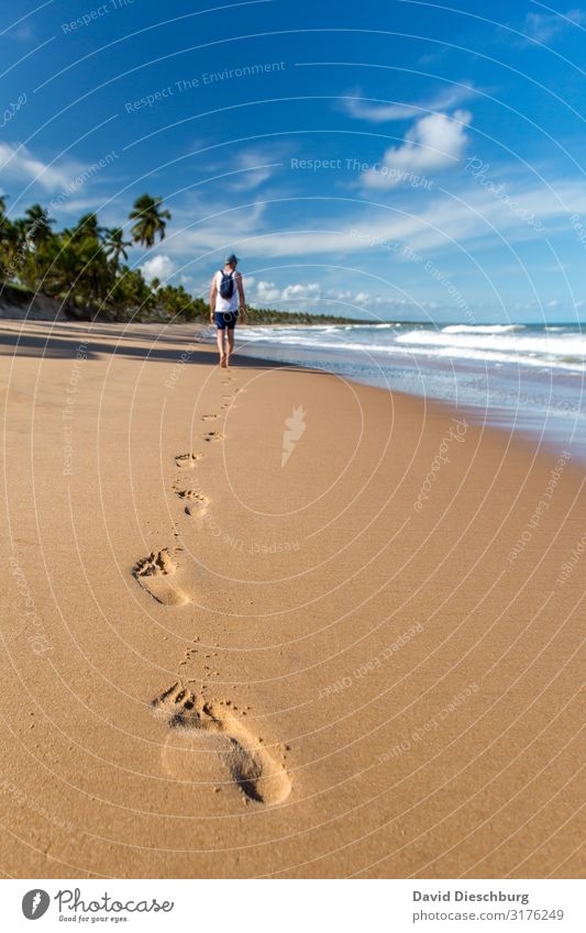 Traces in the sand Vacation & Travel Tourism Adventure Far-off places Summer vacation Sunbathing Nature Landscape Plant Animal Sky Clouds Beautiful weather