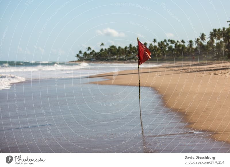 ATTENTION: Red flag Vacation & Travel Summer vacation Sunbathing Nature Landscape Sand Sky Clouds Spring Beautiful weather Waves Coast Beach Bay Ocean Island