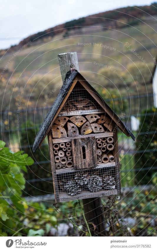 insect hotel Handicraft Home improvement Flat (apartment) House (Residential Structure) House building Moving (to change residence) Interior design Environment