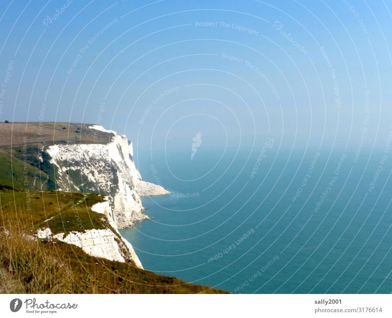 the white cliffs... Cliff White Dover Kent England Great Britain Coast Deserted Ocean English Channel Sky Nature Limestone rock Beautiful weather brexite