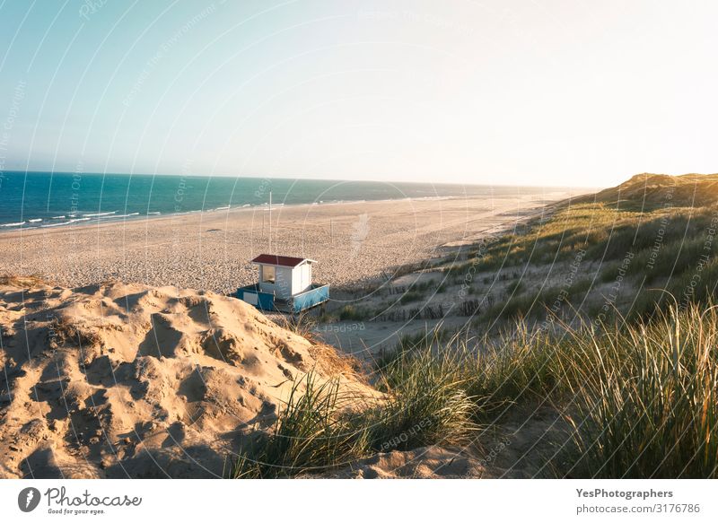 Summer beach and dunes landscape. Sunny beach day at North Sea Vacation & Travel Summer vacation Nature Landscape Sand Climate change Beautiful weather Hill
