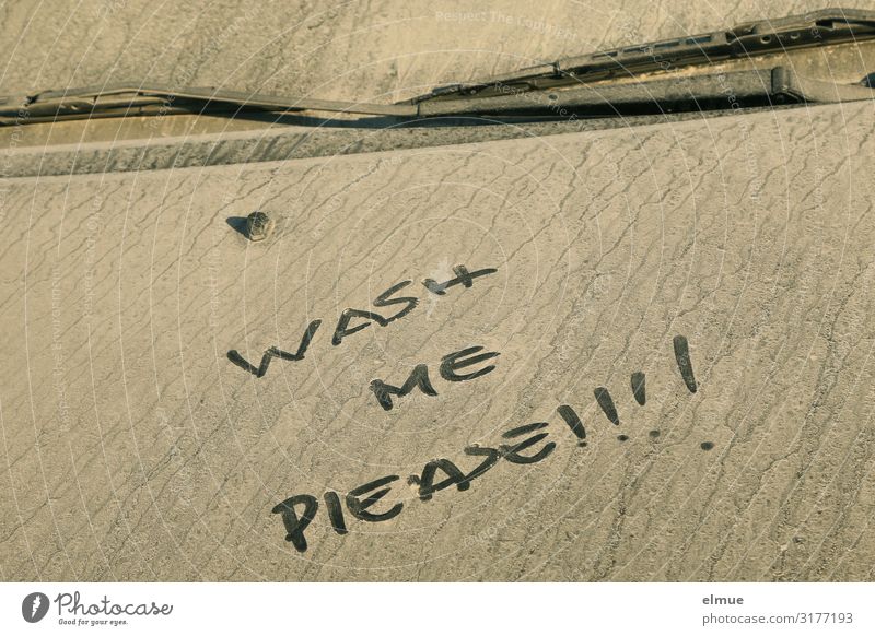 please! Car Signs and labeling Network Dirty Astute Dry Crazy Attentive Purity Disgust Chaos Disaster Discover Considerate Idea Inspiration Beautiful Whimsical