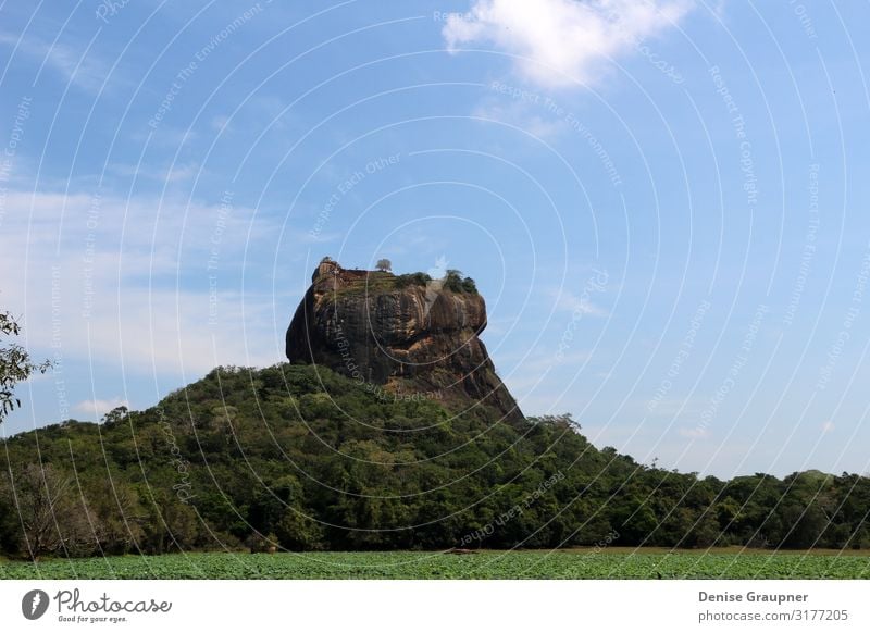 The Lion Rock on Sri Lanka UNESCO World Heritage Site Vacation & Travel Tourism Expedition Environment Nature Landscape Climate Beautiful weather Wall (barrier)