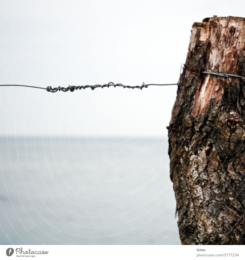 Stories from the fence (11) Water Sky Horizon Beautiful weather Tree trunk Baltic Sea Fence Fence post Wire Wire cable Wire fence Wood Metal Signs and labeling