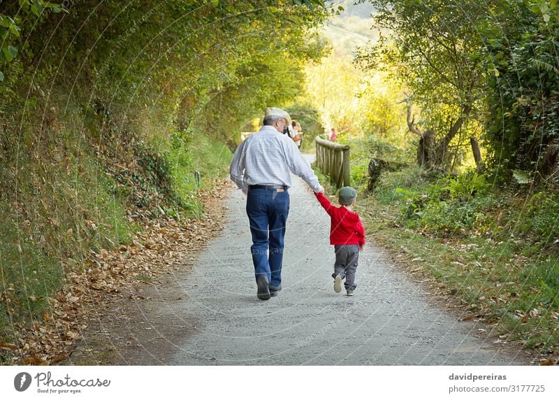 Back view of grandfather and grandchild walking together Lifestyle Joy Happy Leisure and hobbies Summer Child Baby Boy (child) Man Adults Parents Grandfather