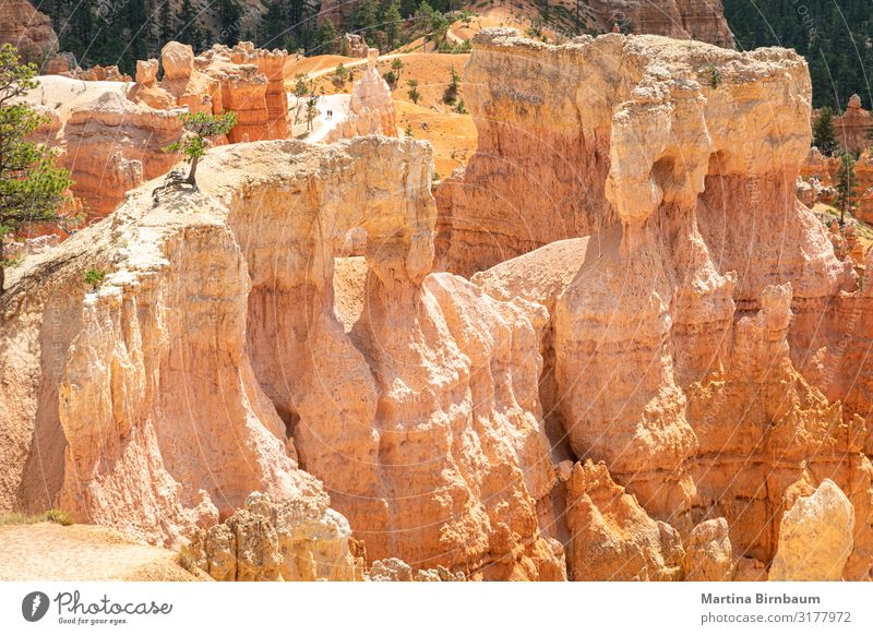 Hoodoo formation at Bryce Canyon National Park, Utah Vacation & Travel Mountain Nature Landscape Sky Rock Monument Stone Gold Red Serene Amphitheatre national