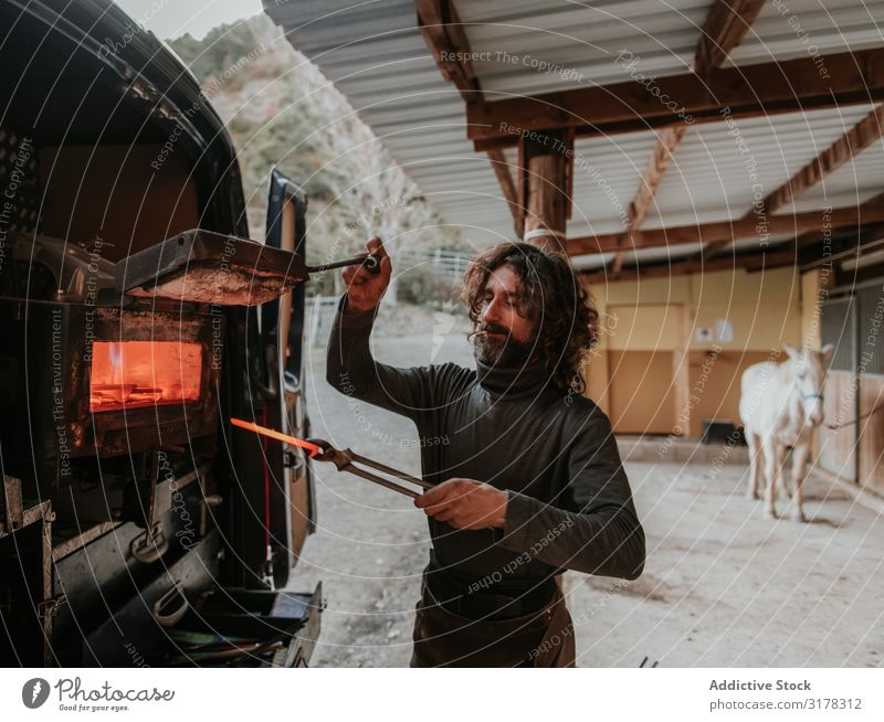 Blacksmith taking horseshoe from furnace farrier Horseshoe Furnace Hot Stable Ranch Car Work and employment Craft (trade) Fire Man Adults Metal Molten Iron