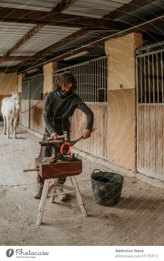 Blacksmith forging horseshoe near stable farrier Forge Horseshoe Stable Ranch Anvil Craft (trade) Iron Hammer tongs Hot Man Adults Professional Barn Farm Stall