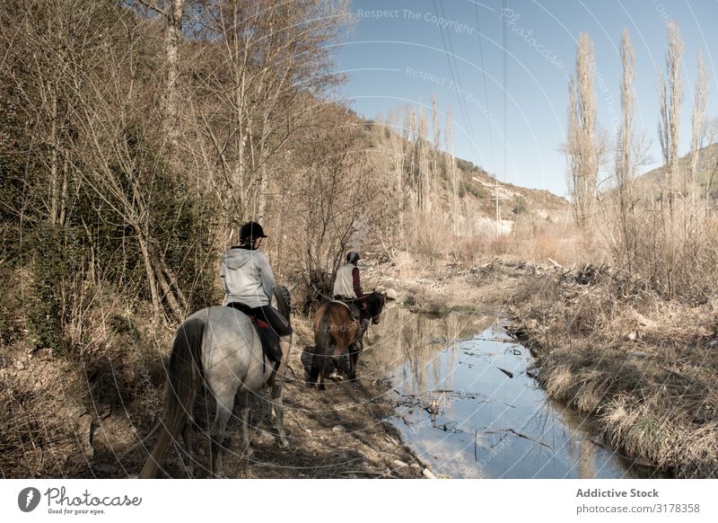 Anonymous people riding horses in brook Human being Horse Brook Landscape Autumn Lessons Horseback Water Calm Nature Sports equestrian Lifestyle Relaxation