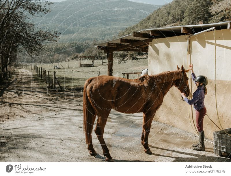 Woman and girl brushing horse Girl Horse Bridle Stable Stall Lessons Horseback riding Ranch Animal Youth (Young adults) Child Considerate Equipment