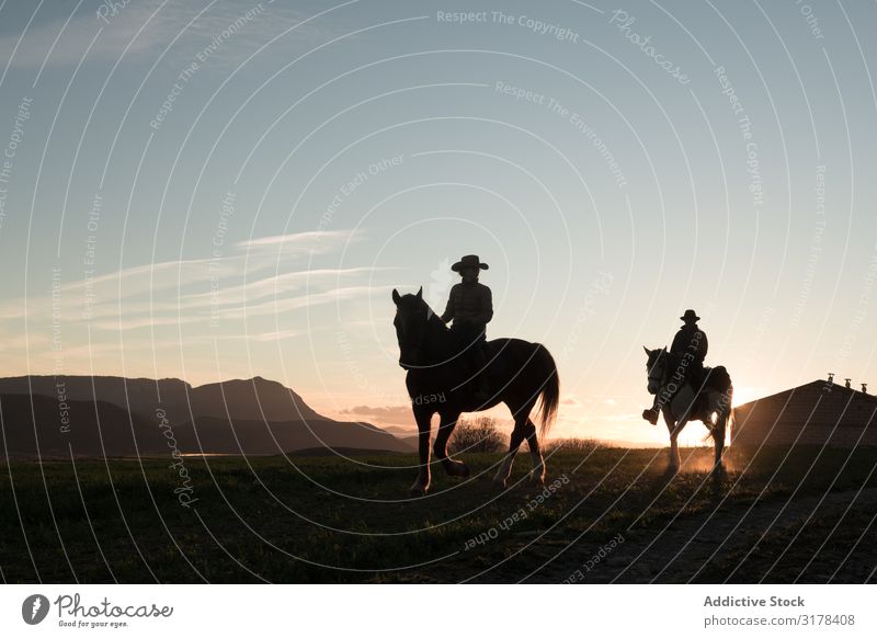 People riding horses Human being Horse Ranch Sunset Sky Evening Man Woman Gesture Sports Horseback equestrian Lifestyle Leisure and hobbies Relaxation Domestic