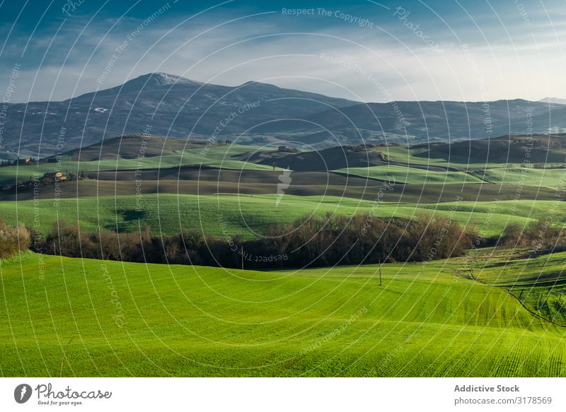 Wonderful empty green fields Field Green Panorama (Format) Tuscany Highlands Italy Infinity Grass Hill Landscape Nature Countries Seasons Summer Meadow