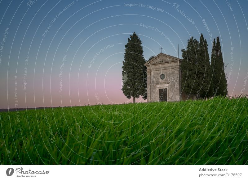 Single chapel among trees on field Chapel Architecture Tuscany Italy Sunset Landscape Nature Beautiful Building Remote Empty Gold tranquil Peace Evening