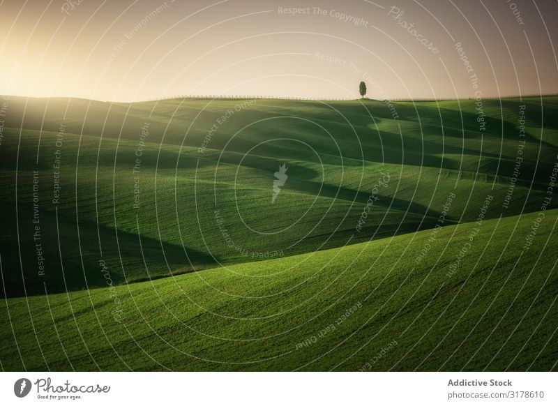 Wonderful empty green fields Field Green Panorama (Format) Tuscany Highlands Italy Infinity Grass Hill Landscape Nature Countries Seasons Summer Meadow