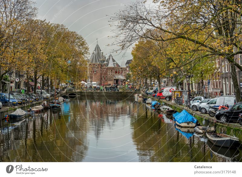 November in Amsterdam, view of a canal Landscape Plant Sky Clouds Autumn Bad weather Tree Netherlands Town Old town Populated House (Residential Structure)