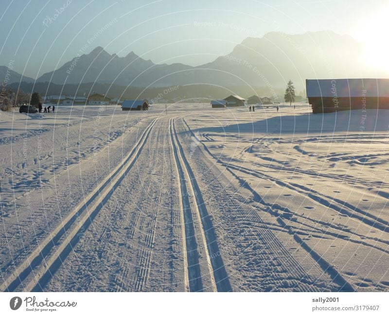 Winter sports fairy tale... Sports Cross country skiing Cross-country ski trail Landscape Cloudless sky Sunrise Sunset Sunlight Beautiful weather Snow Alps