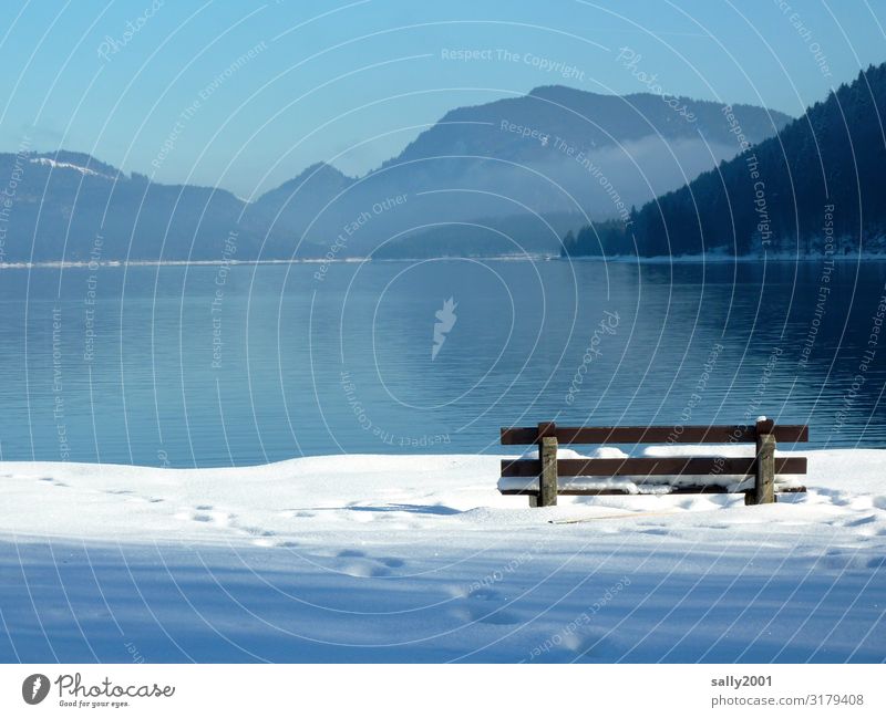 winter outlook... Landscape Cloudless sky Winter Beautiful weather Snow Alps Lakeside Lake Walchen Bench Observe Sit Free Bright Natural Loneliness Relaxation