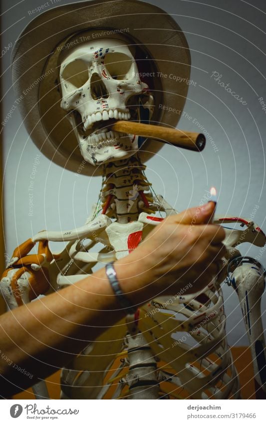 The last cigar in the skeleton - mouth with hat. A hand reaching out from the side with a burning lighter wants to light the cigar. Masculine Man Adults