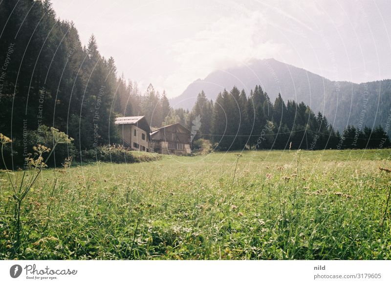 Val di Sole Relaxation Calm Vacation & Travel Tourism Summer Summer vacation Environment Nature Landscape Beautiful weather Meadow Alps Mountain Village