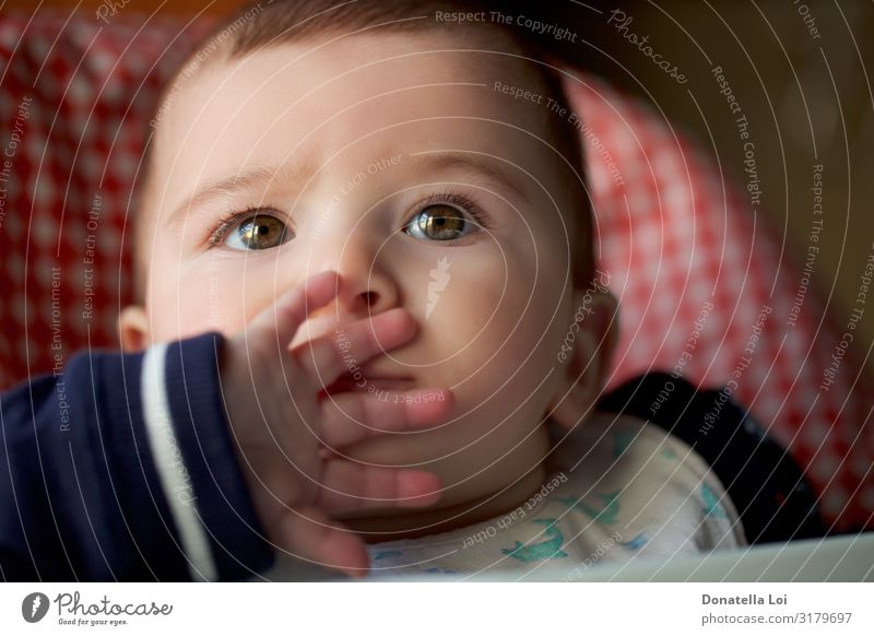 Portrait of baby boy Lifestyle Beautiful Child Human being Masculine Baby Head 1 0 - 12 months Diet Observe Feeding Small Caucasian Expressive eyes Home