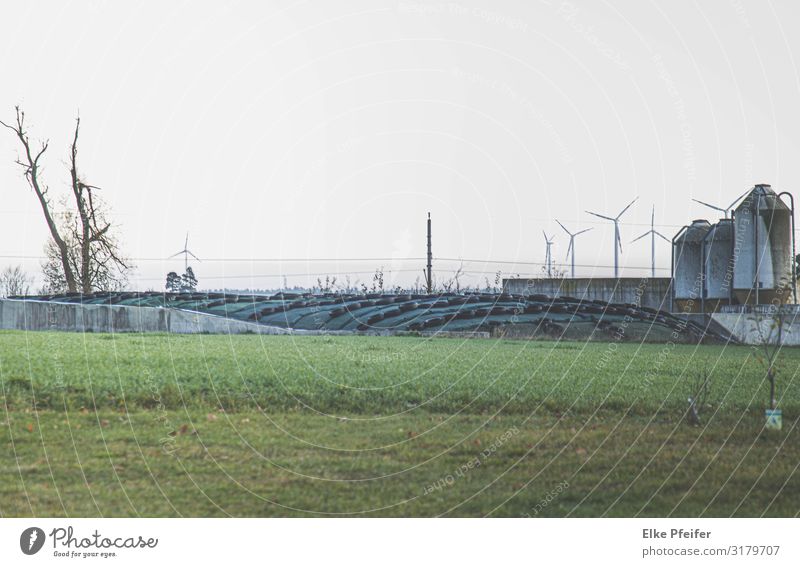 Landwirtschaft Landscape Field Building farm Farmhouse Agriculture Serene Business Society Colour photo Exterior shot Deserted Day