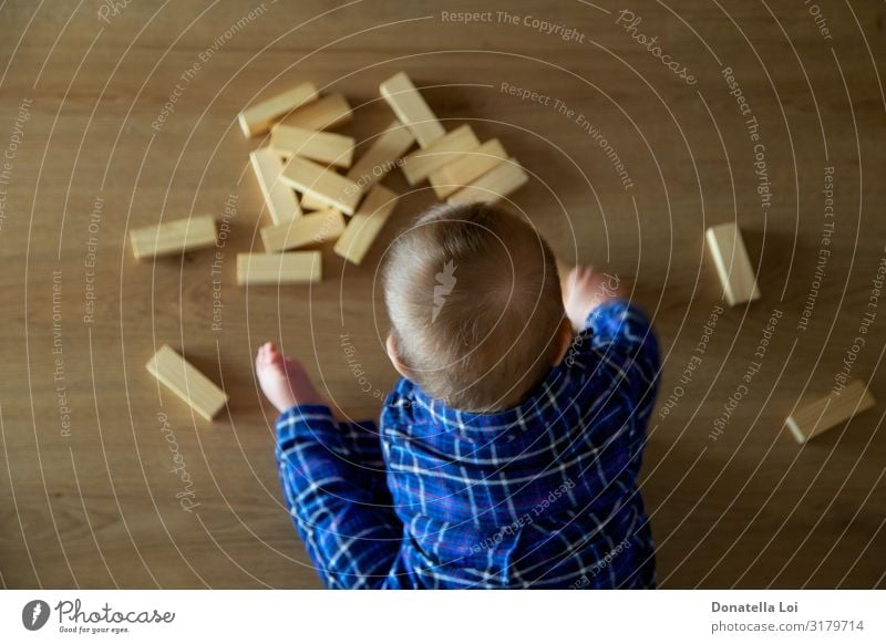 Child plays with buildings seen from above Lifestyle Playing Construction site Human being Toddler Body 1 0 - 12 months Baby Building Toys Wood Small Infancy