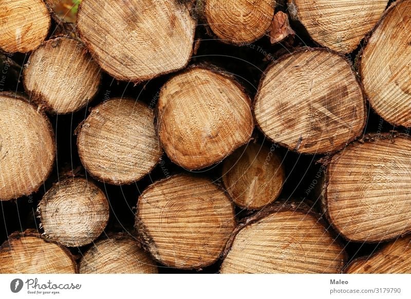 Freshly sawn logs lie in the forest Abstract Brown Average Firewood Forest Wood Material Nature Natural Stack Structures and shapes Tree Tree trunk