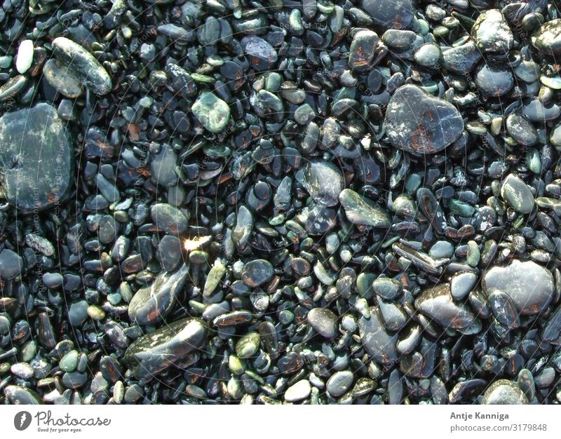 stones_pebbles_color play Beach Environment Sky only Stone Esthetic Glittering Uniqueness Wet Attentive Discover Nature Arrangement Environmental protection