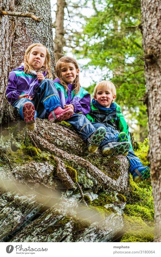 Three children in the forest, portrait Happy Contentment Playing Vacation & Travel Trip Mountain Hiking Girl Boy (child) Brothers and sisters Sister