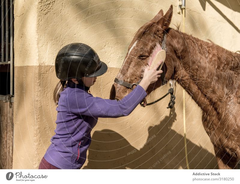 Woman and girl brushing horse Girl Horse Bridle Stable Stall Lessons Horseback riding Ranch Animal Youth (Young adults) Child Considerate Equipment