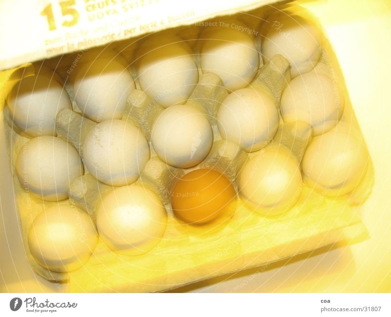 15 eggs Yellow Brown Fragile Outsider Movement Long exposure Egg Caution Blur