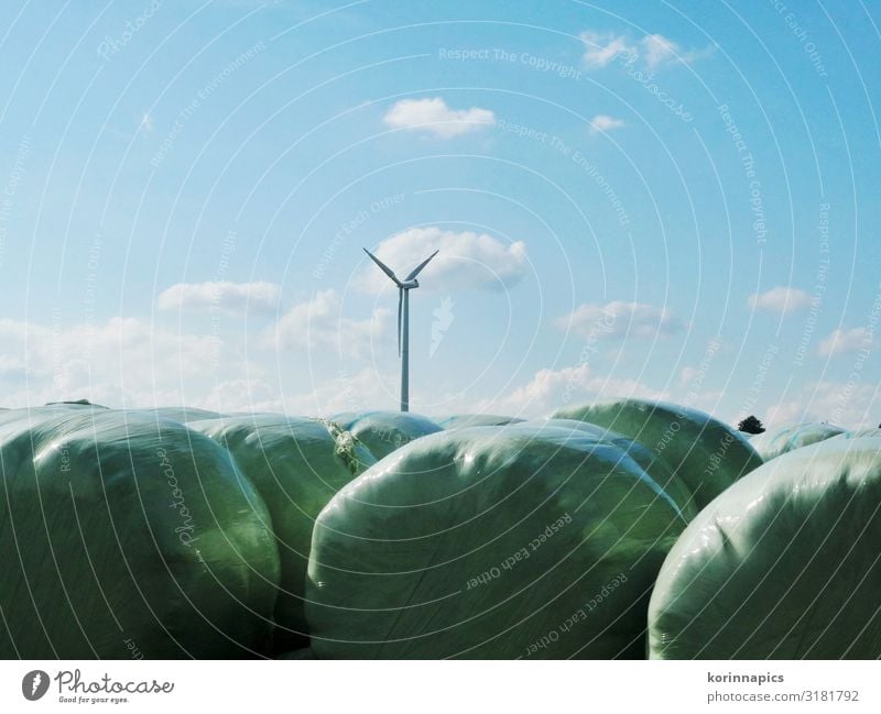 silage Agriculture Forestry Advancement Future Wind energy plant Silo Environment Nature Air Sky Sustainability Environmental protection Colour photo