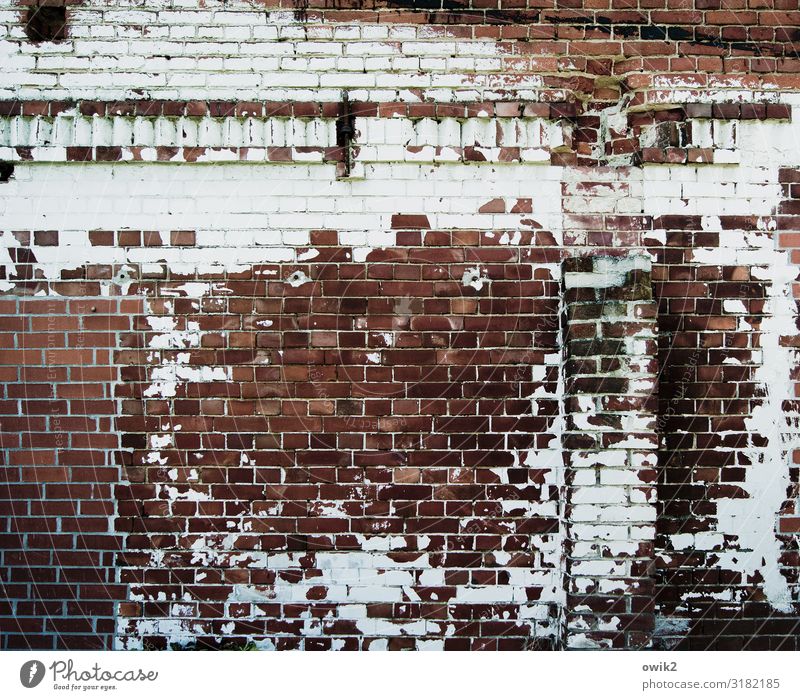 psoriasis Building Barn Wall (barrier) Wall (building) Brick Brick wall Old Decline Transience Destruction Ravages of time Dye Flake off wall frieze