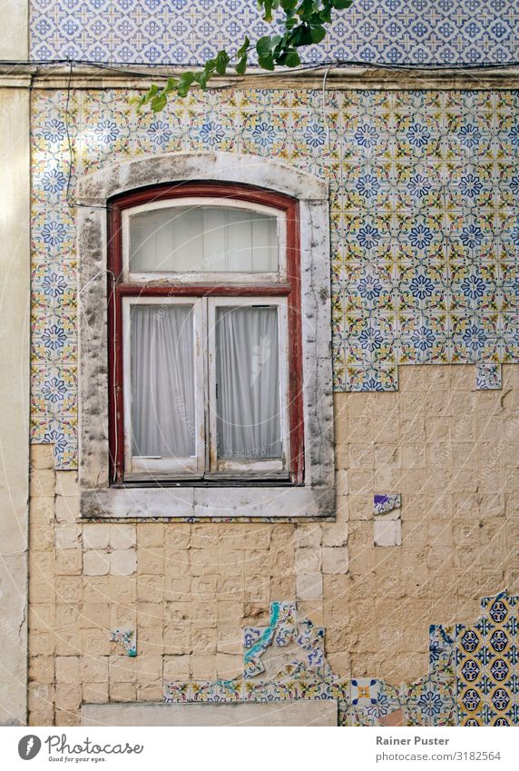 Windows on weathered wall with tiles in Lisbon City trip Portugal Downtown Old town Wall (barrier) Wall (building) Facade Tile Stone Glass Retro Multicoloured