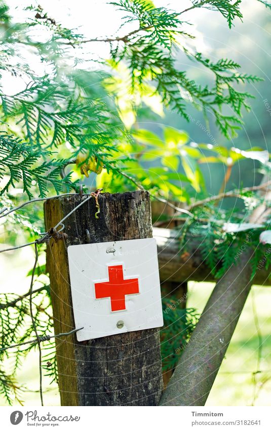 Red Cross Vacation & Travel Environment Nature Beautiful weather Plant Meadow Metal Sign Green White Emotions Help Safety Pole Fence Colour photo Exterior shot