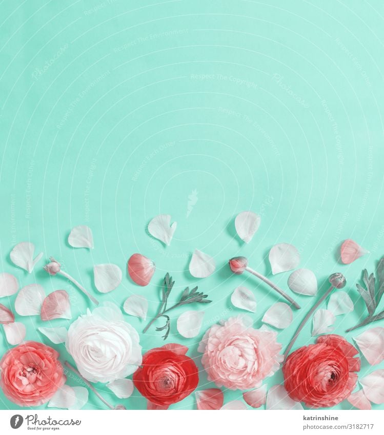 Mint Green Flowers Wreath Stock Photos - Free & Royalty-Free Stock