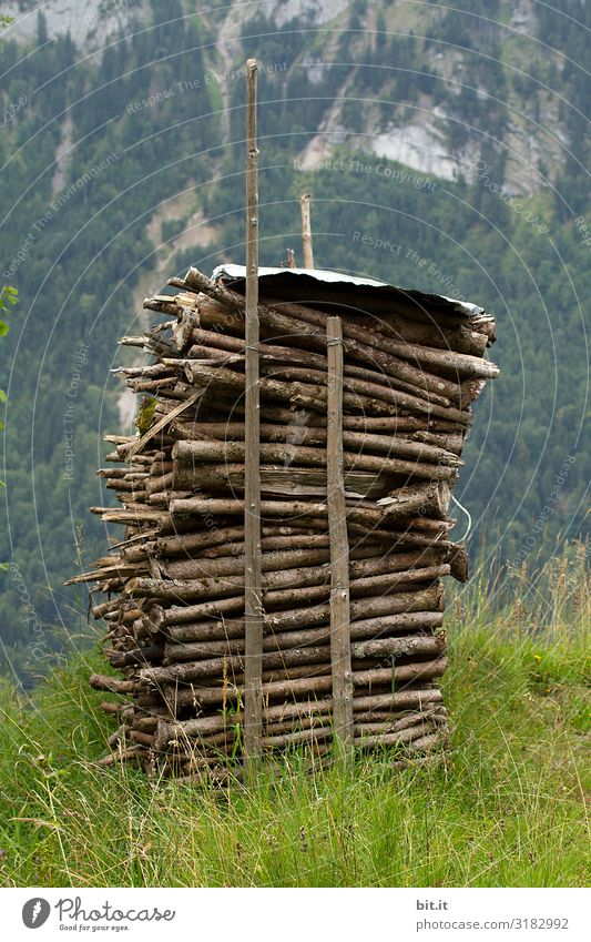 stack of wood Environment Nature Landscape Alps Mountain Green Wood Stack of wood Heat Heating Warm period Heating by stove Fire Firewood Fuel Colour photo