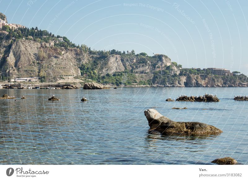 Seal Rock Vacation & Travel Nature Landscape Water Cloudless sky Beautiful weather Hill Coast Ocean Island Sicily Blue Colour photo Subdued colour Exterior shot