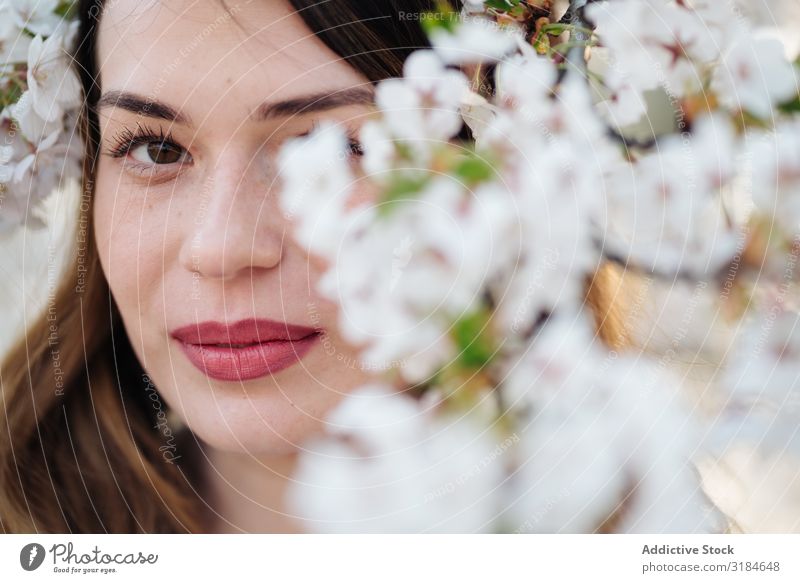 Beautiful woman amidst white flowers Woman Tree Blooming Branch of business Spring White Flower Smiling Garden Youth (Young adults) Blossom Plant Aromatic Scent