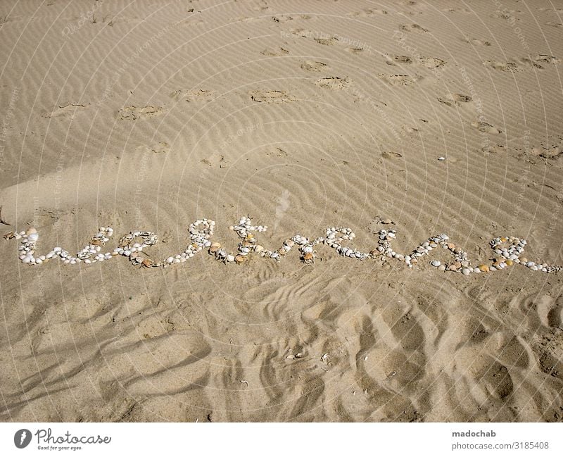 Weltreise - Writing with seashells on the beach Lifestyle Well-being Relaxation Calm Vacation & Travel Tourism Trip Far-off places Summer Summer vacation Beach