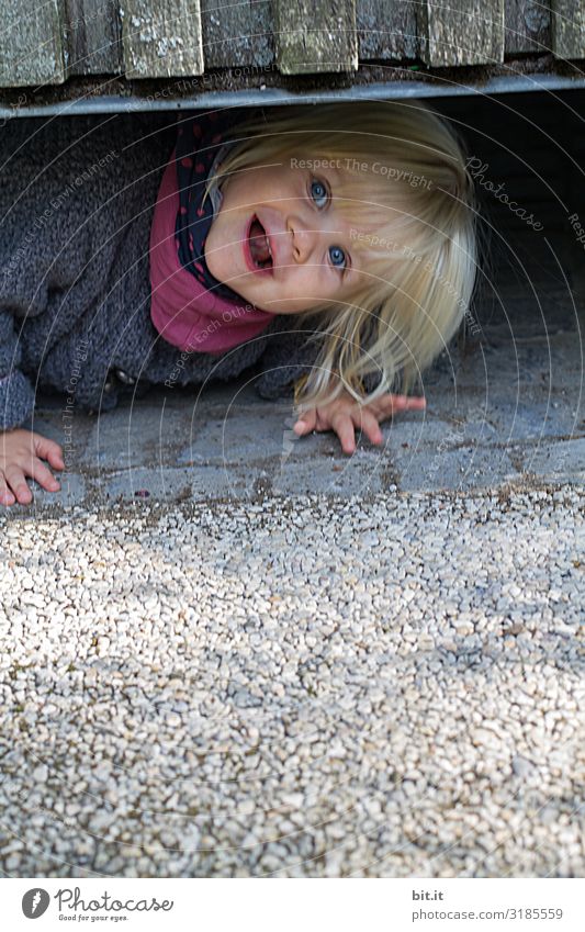 Little, cheeky, sweet, roll-eyed girl looks curious, interested, funny under a fence. Blond funny toddler plays hide and seek. Excursion in the city, toddler lies on the grey ground with cobblestones, stones and wooden wall.