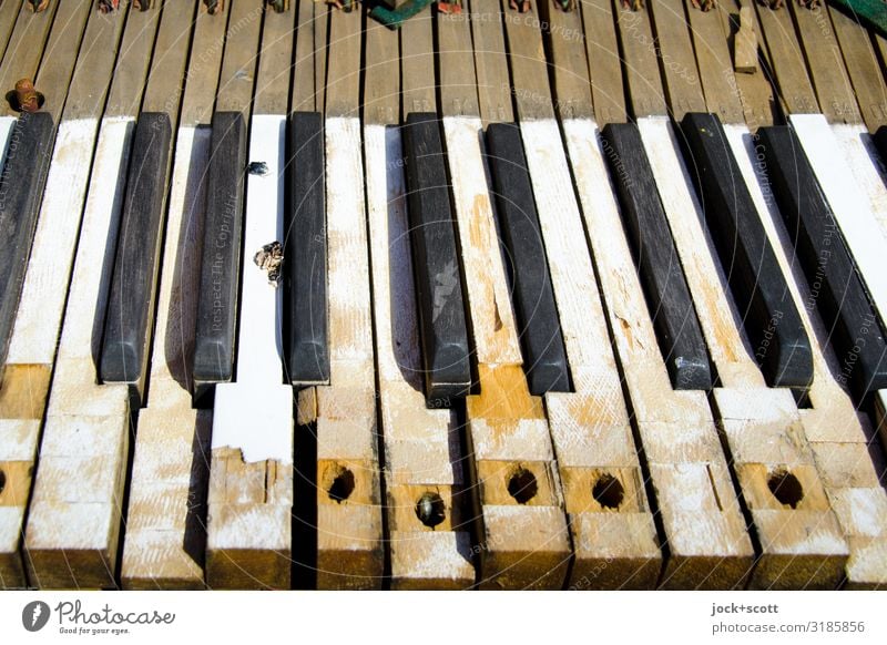 Tones key by key Piano Keyboard Wood Old Historic Broken Symmetry Past Transience Change Destruction Ravages of time Abrasion Weathered Mechanism Detail