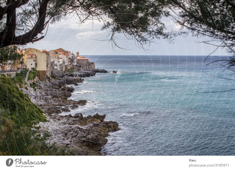 Cefalù² Vacation & Travel Far-off places Nature Landscape Water Sky Clouds Summer Beautiful weather Tree Branch Rock Waves Coast Ocean Cefalú Sicily Italy
