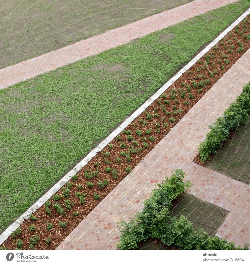 Horticulture II Earth Hedge Garden Park Meadow Lanes & trails Garden Bed (Horticulture) Arrangement Colour photo Abstract Pattern Structures and shapes Deserted