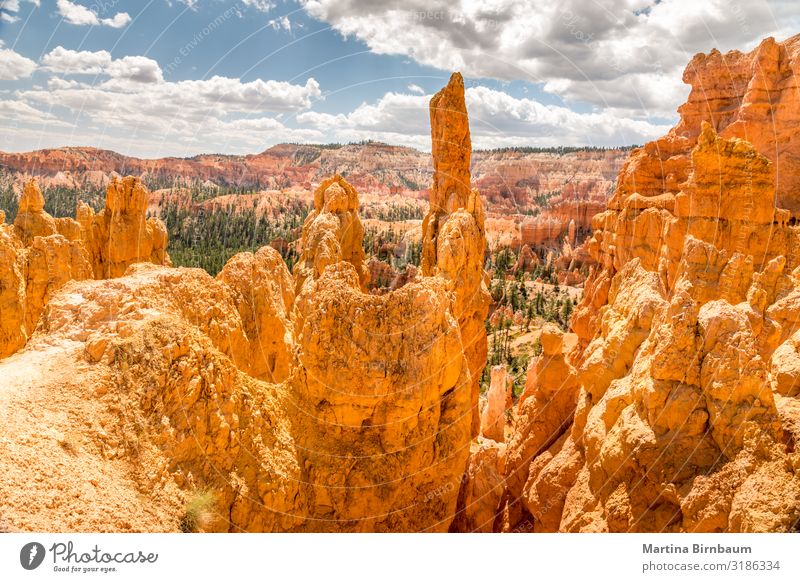 Panoramic view over Bryce Canyon Utah Vacation & Travel Mountain Nature Landscape Sky Park Rock Monument Stone Gold Red Serene bryce point national desert