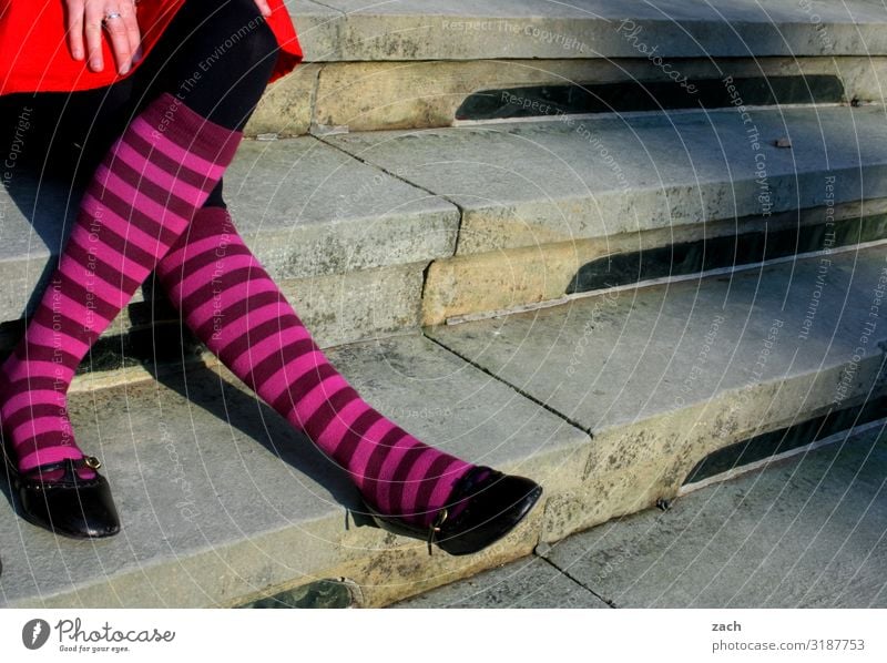 Stairs with socks Human being Feminine Young woman Youth (Young adults) Woman Adults Legs 1 Sit Gray Colour photo Exterior shot Copy Space middle Day