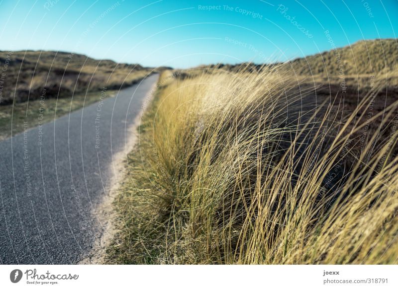 Go with you Landscape Sky Summer Beautiful weather Marram grass Hill Island Lanes & trails Blue Brown Gray Black Leisure and hobbies Nature Vacation & Travel