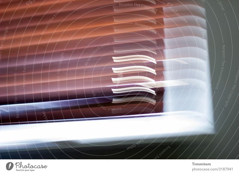 Moving view of a window Window Light Venetian blinds Movement motion blur Wood lines Shadow Screening Deserted Colour photo