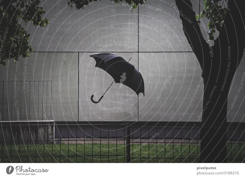 Invisible englishman Weather Bad weather Storm Wind Gale Rain Thunder and lightning Building Architecture Wall (barrier) Wall (building) Garden Umbrella