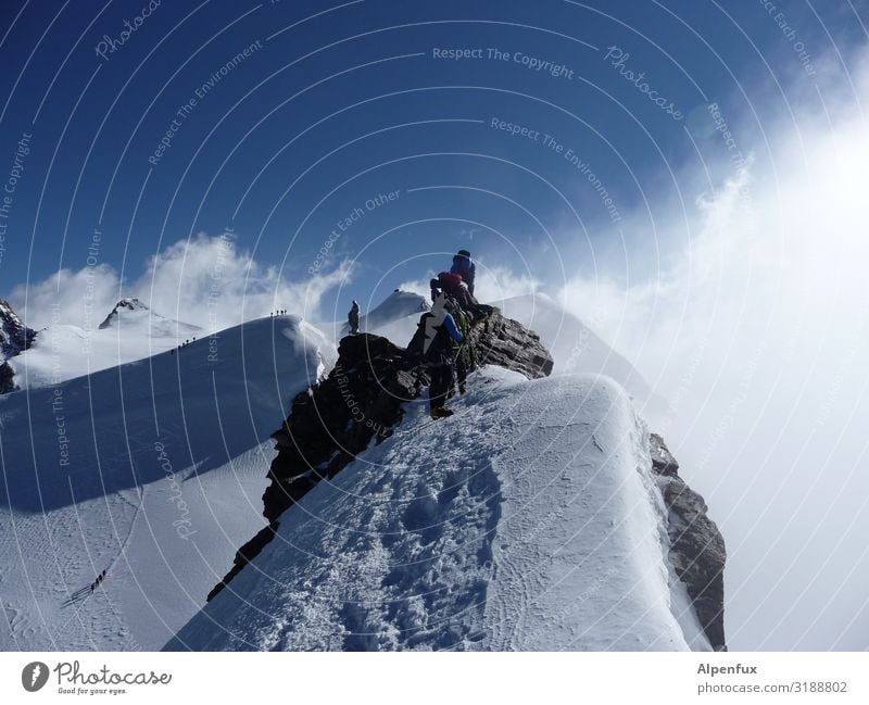 Schwarzhorn shortly before the summit Climate Climate change Beautiful weather Ice Frost Snow Hill Rock Alps Mountain Monte Rosa Peak Snowcapped peak Glacier